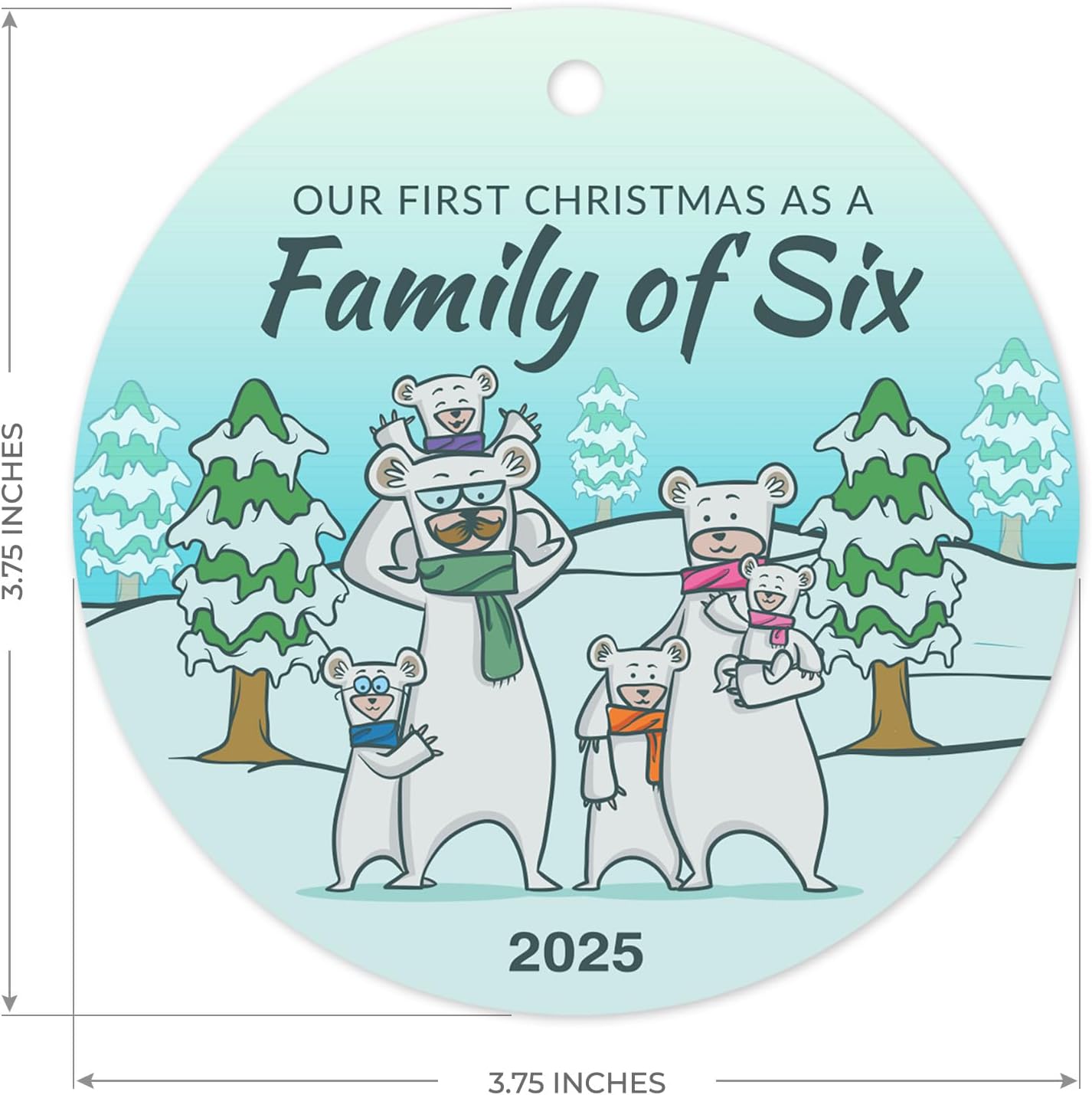 Our First Christmas As A Family of Six 2025, Christmas Decorations Gift Ornament,