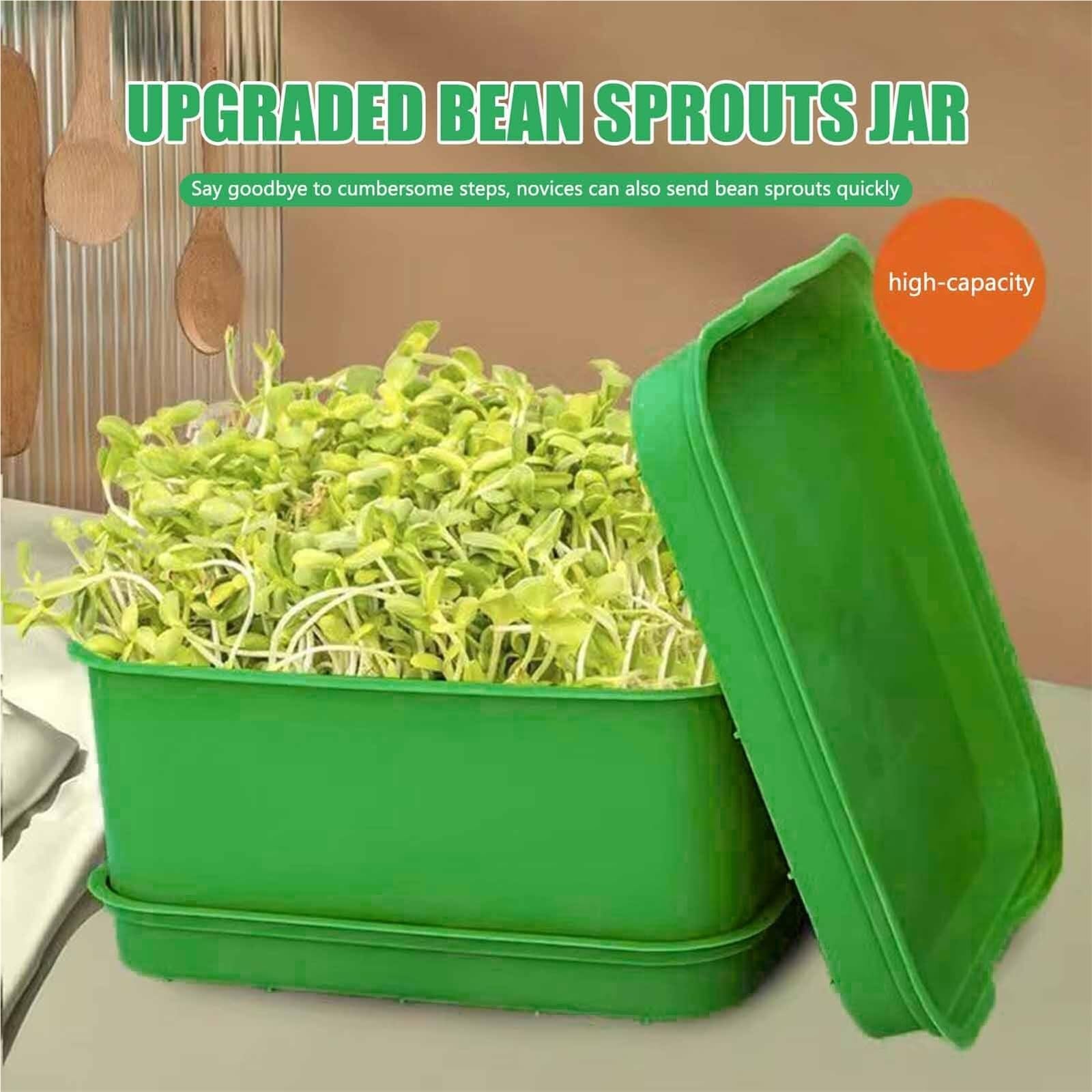 Plateau de semis Pots de semis Plantes germées, Conception permettant Gagner l'espace, conteneurs Germination adaptés aux Petits légumes pour Plantes(1pcs)
