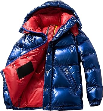 JEsilunmaMY Winter Coats for Men Thicken Shiny Puffer Jacket with Removable Hood Stand Collar Heavyweight Padded Puffy Coat