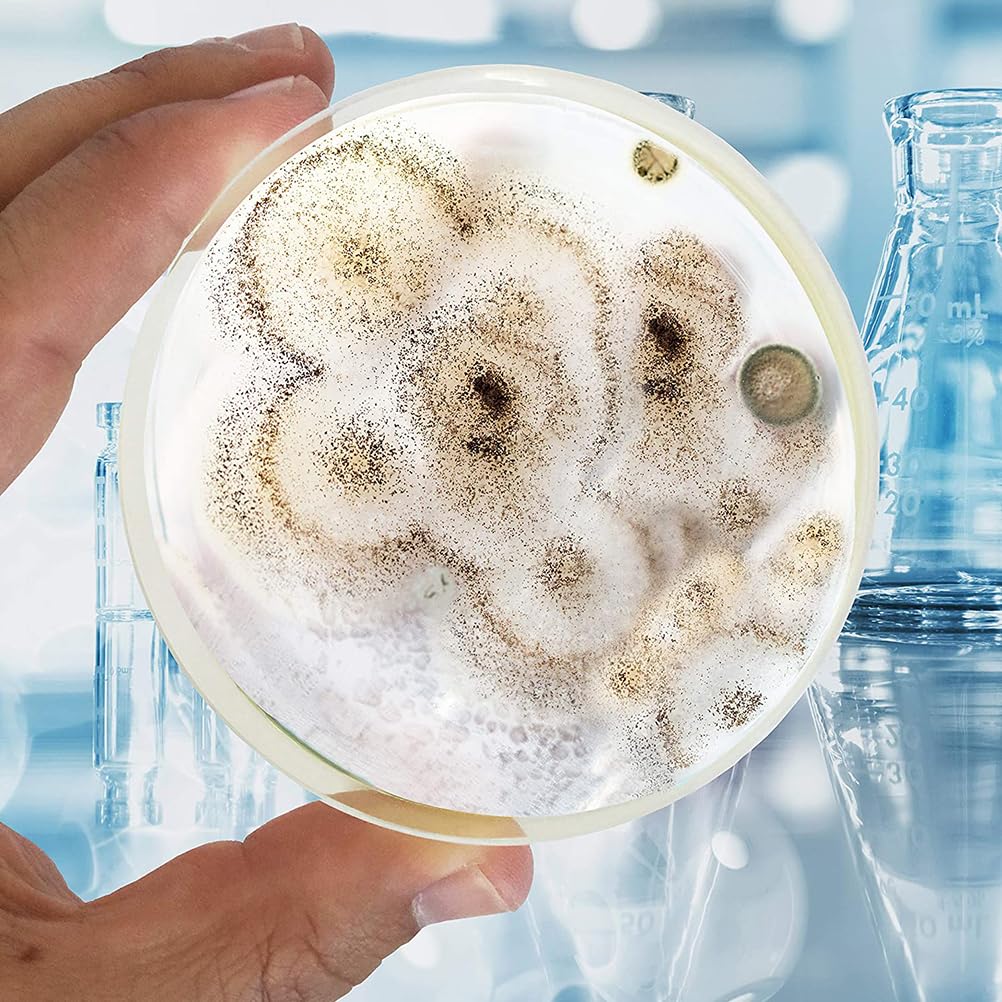 UKCOCO 10 Stück Agar Petrischplatten, Platten aus Kunststoff, Petroleumplatten, Agar R2a Petroleumplatten, Verwendung und Agar Medien Biologische Bestimmungsgeräte