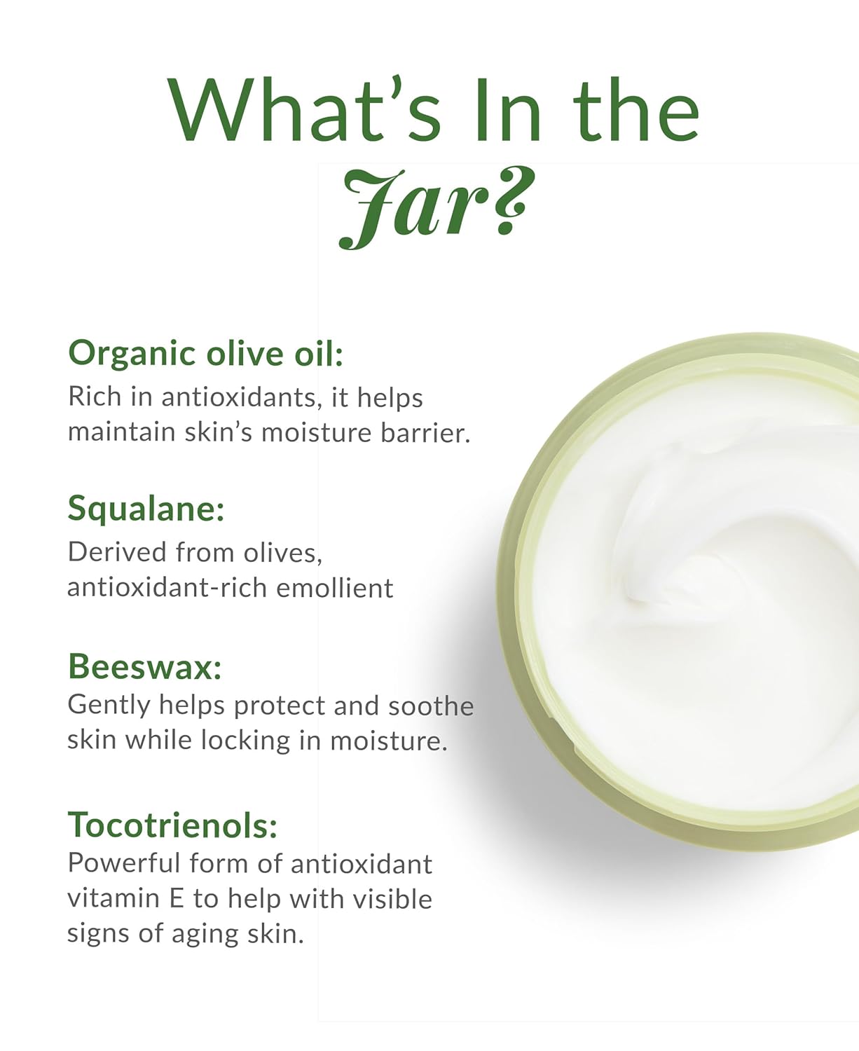 DHC Olive Virgin Oil Essential Cream, Moisturizer, Hydrating, Promotes Skin Elasticity, Radiant, Fragrance and Colorant Free, Ideal for All Skin Types, 1.7 oz. Net wt. - Image 3