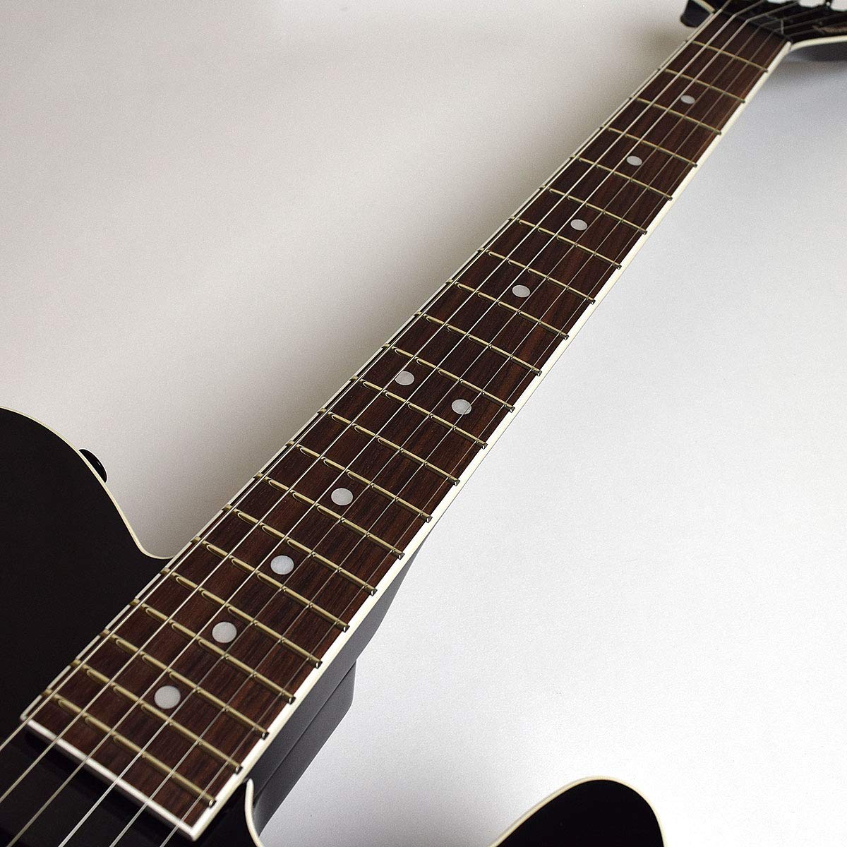 Amazon | FERNANDES TEJ-DELUXE 2S BLK エレキギター | エレキ