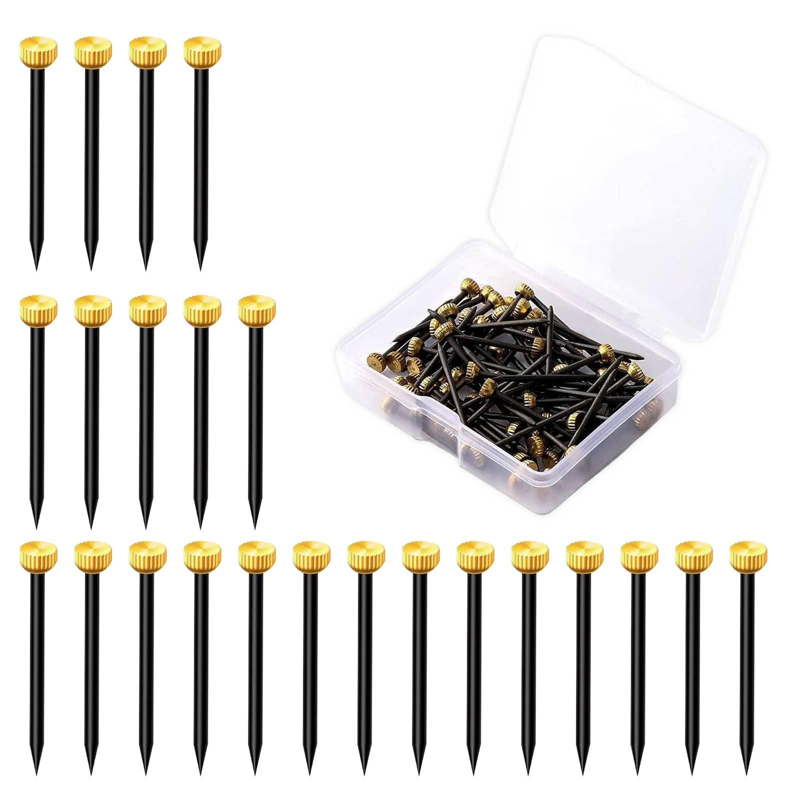 Dreamil Set di 50 chiodi per quadri, in ottone, con contenitore per unghie, per cornici, bacheche, tela (lunghezza 2,5 cm)