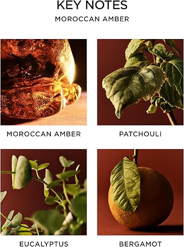 Miniatura 4 de NEST New York Difusor de Varillas, Ámbar Marroquí - 5.9 fl oz (175 ml) - Fragancia hasta por 90 Días - Soporte de Vidrio Reutilizable y Rellenable -