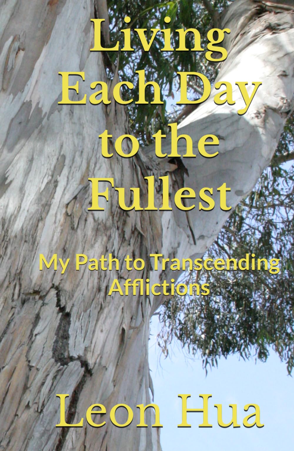 Living Each Day to the Fullest: My Path to Transcending Afflictions