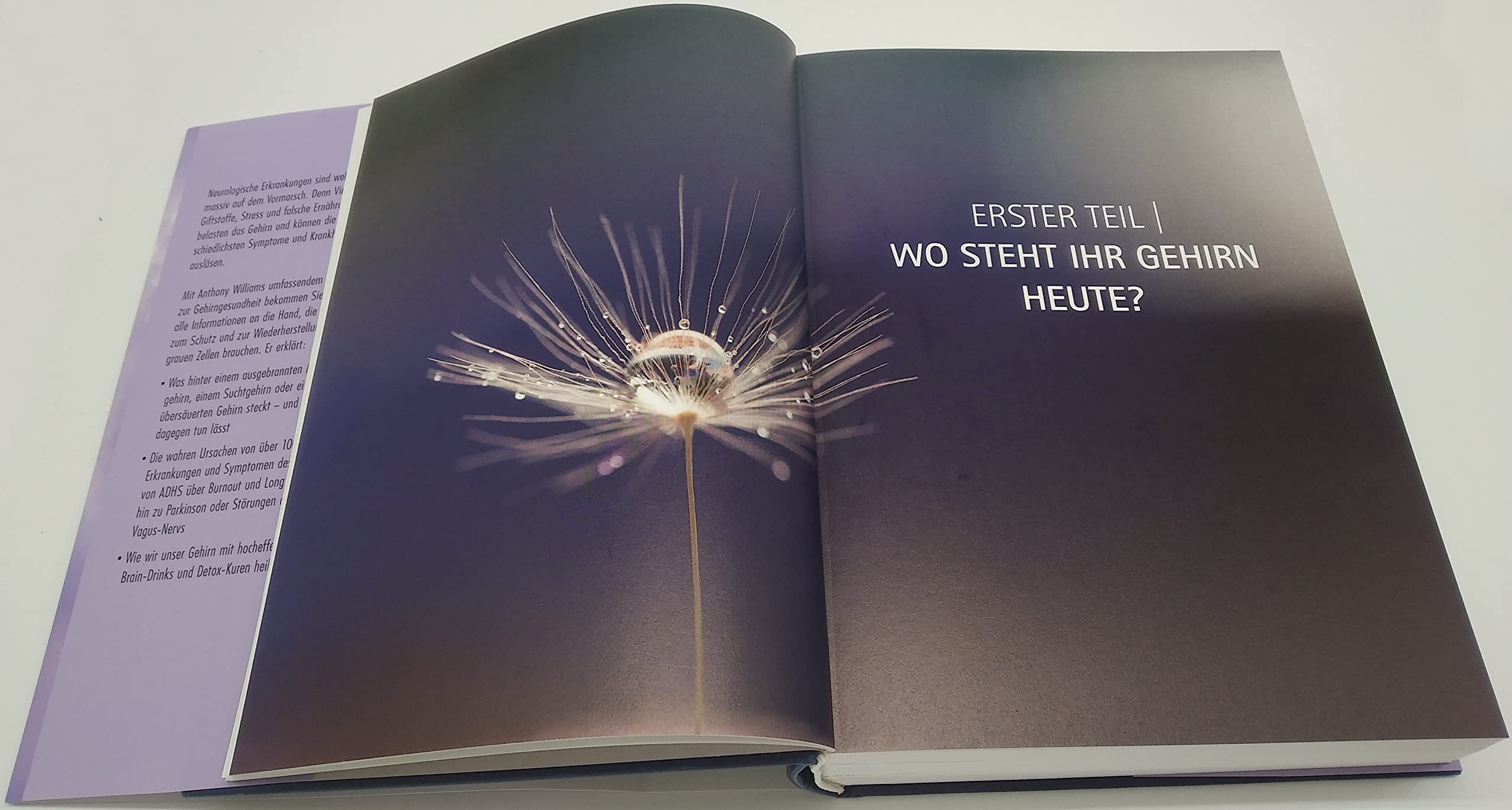 Heile dein Gehirn - Das Basisbuch: Die Wahrheit über Angstzustände, Depression, Long Covid, chronische Erschöpfung, Alzheimer und Demenz - Schutz und Heilung für unser wichtigstes Organ
