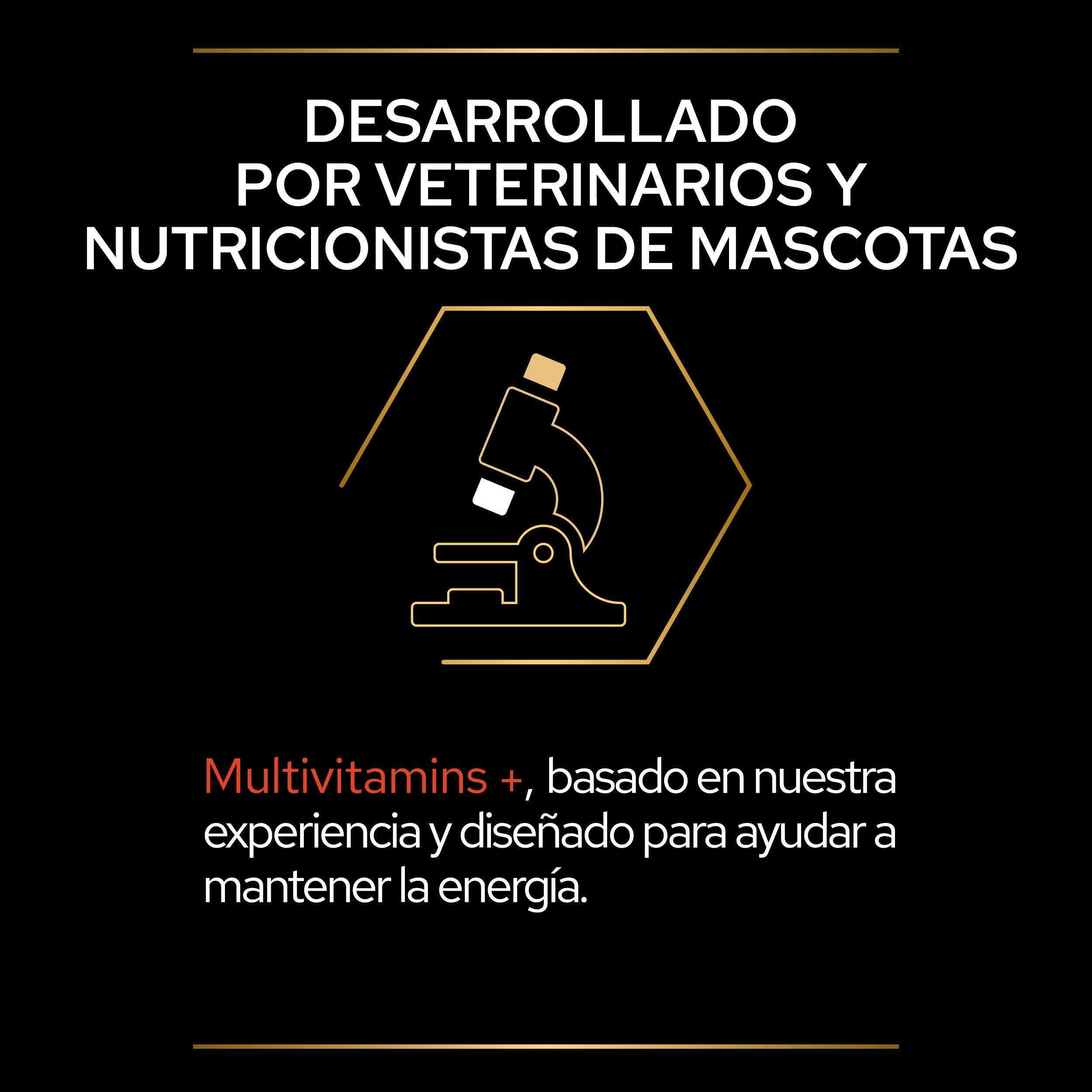 Purina Pro Plan Suplemento Gato Multivitaminas, energía, vitalidad, Vitamina B, en Polvo, 4 paquetes de 60g