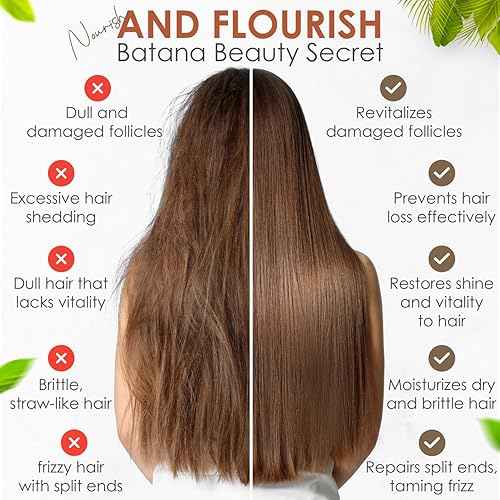 Miniatura 2 de Aceite de batana para el crecimiento del cabello  Aceite de batana orgánico aprobado por Dr. Sebi & Dr Truth para el crecimiento del cabello,