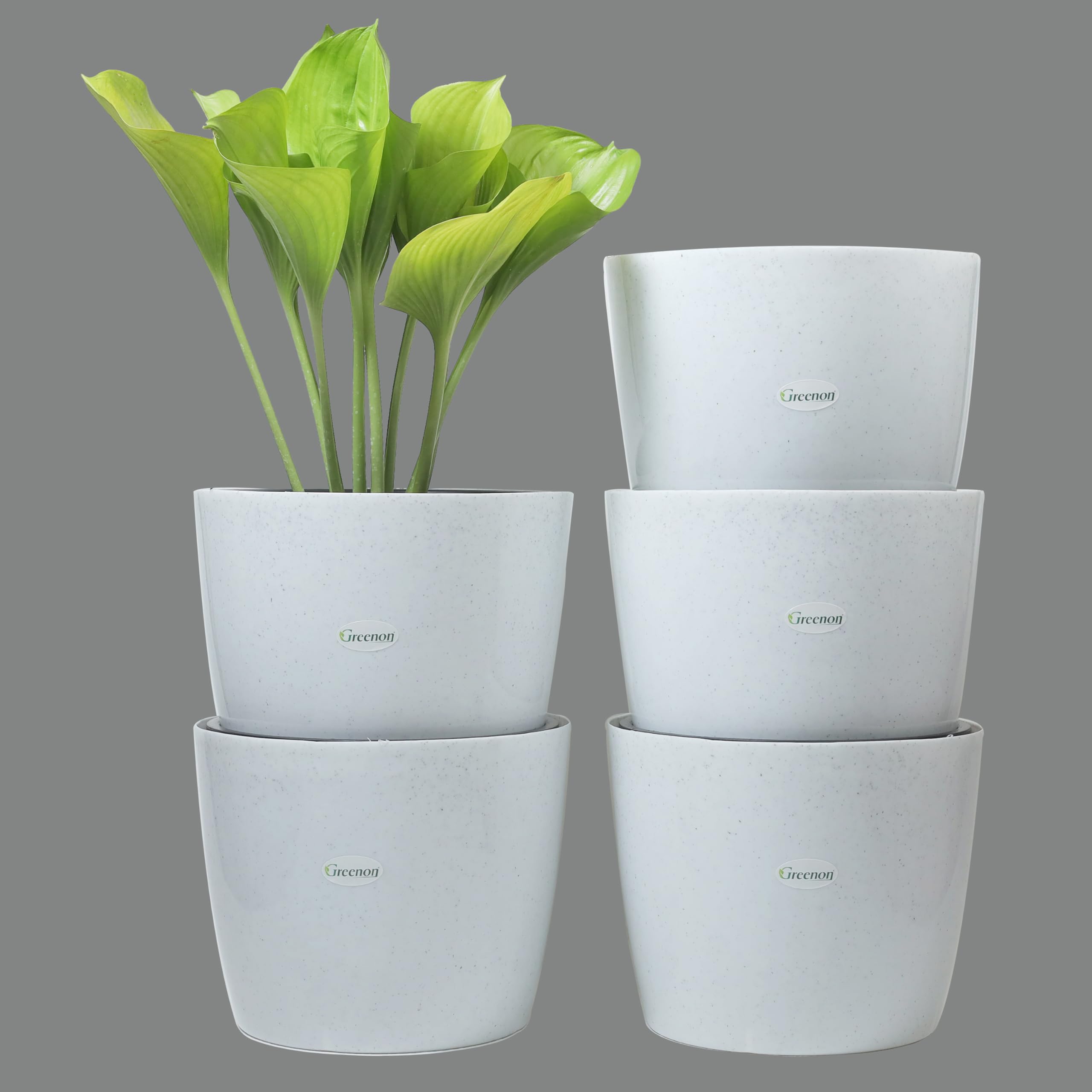 GREENON® 10 Inch Plant Pot Pack of 5 (10 Pots) Self Watering Indoor Pot | DOTT White Outer Black Inner Flower Pot | UnFadable | Suitable for Indoor and Balcony | Low Maintenance Gamla (B09XFKP8MJ) Amazon Price History, Amazon Price Tracker