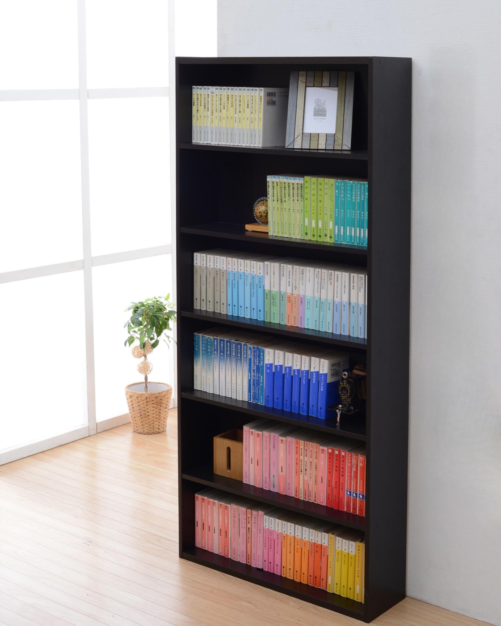 Amazon｜dodollカラーボックス 本棚 書棚 スリム 薄型 ラック ボックス