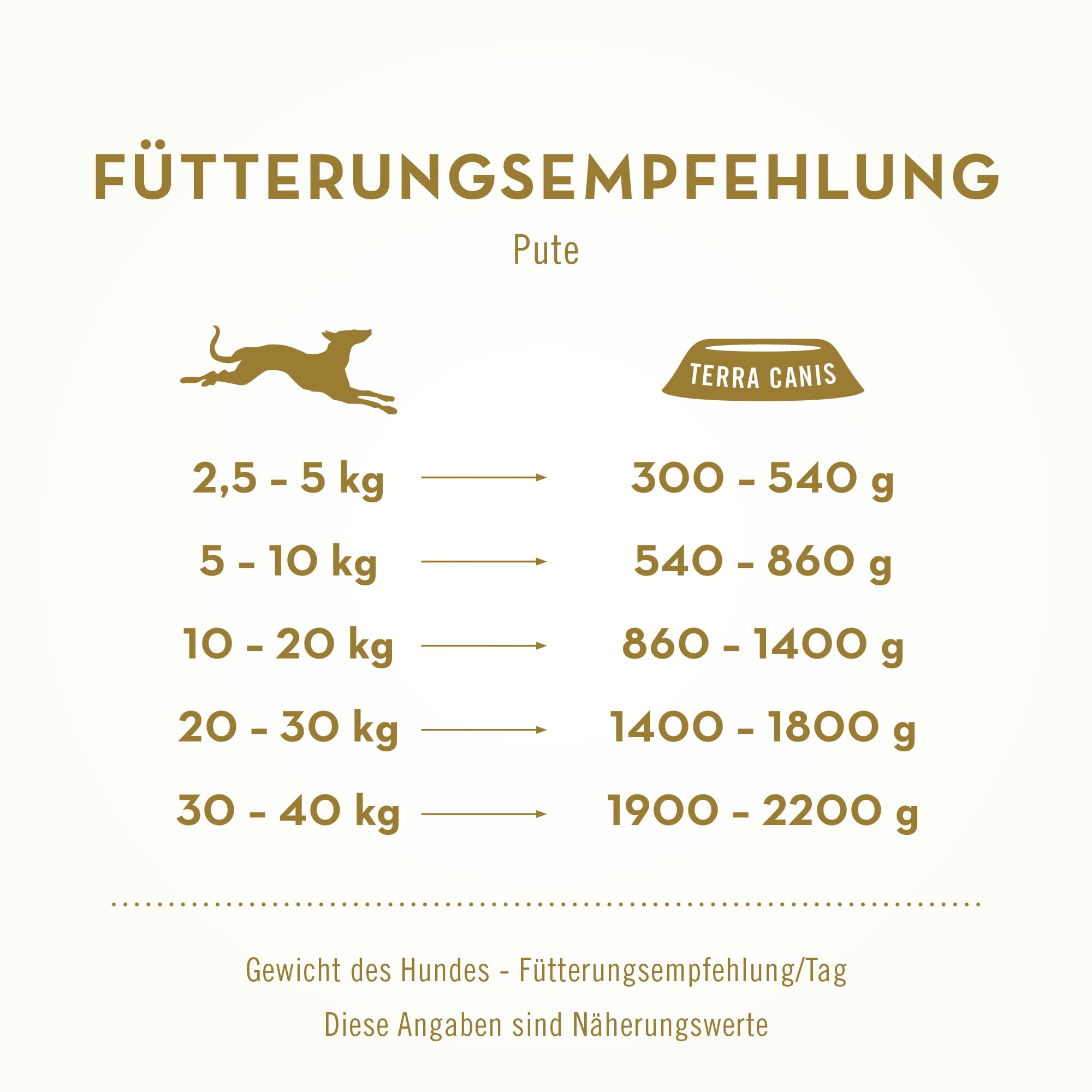 Terra Canis Pacchetto di conoscenza Light, cibo umido per cani, 9x400g | Materie prime di qualità alimentare al 100%, linea Light ricca e sana, povera di allergeni e senza glutine