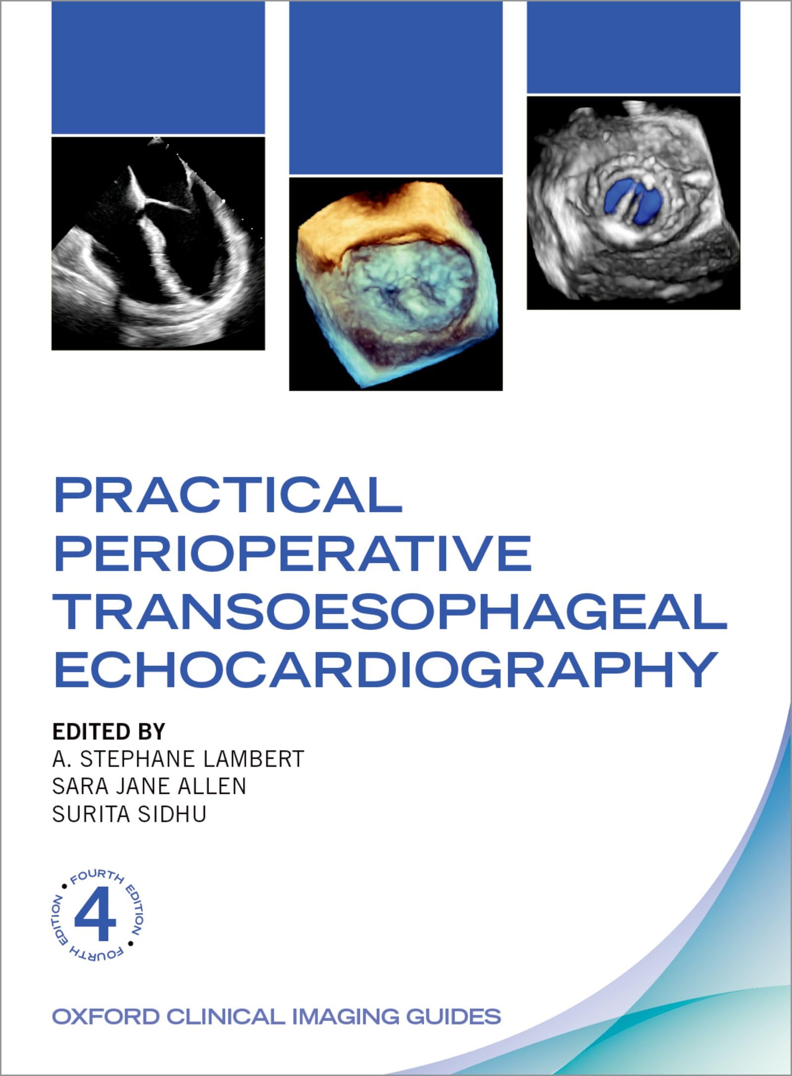 Practical Perioperative Transoesophageal Echocardiography (Oxford