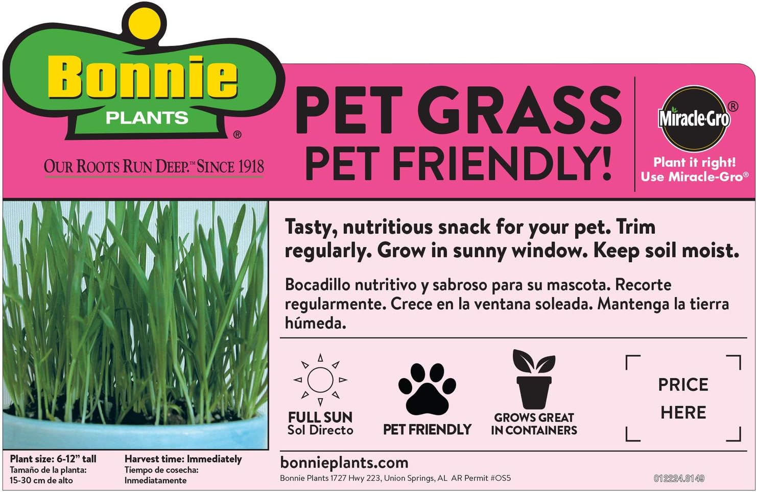 Bonnie Plants Pet Friendly Garden Plants (4-Pack), Live Plants, Cat & Dog Friendly Herbs, Catnip, Pet Grass, Sweet Mint & Oregano