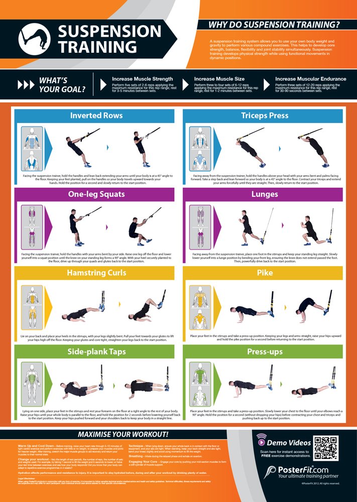 Suspension Training | Improves Core Strength, Balance & Flexibility | Laminated Home & Gym Poster | Free Online Video Training Support | Size - 841mm x 594mm (A1) | Improves Personal Fitness