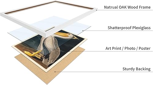 Miniatura 110 de Poster Master Póster vintage de flamenco americano, estampado retro de flamenco rosa, arte de pájaro, regalo para él, ella, amante de los animales,