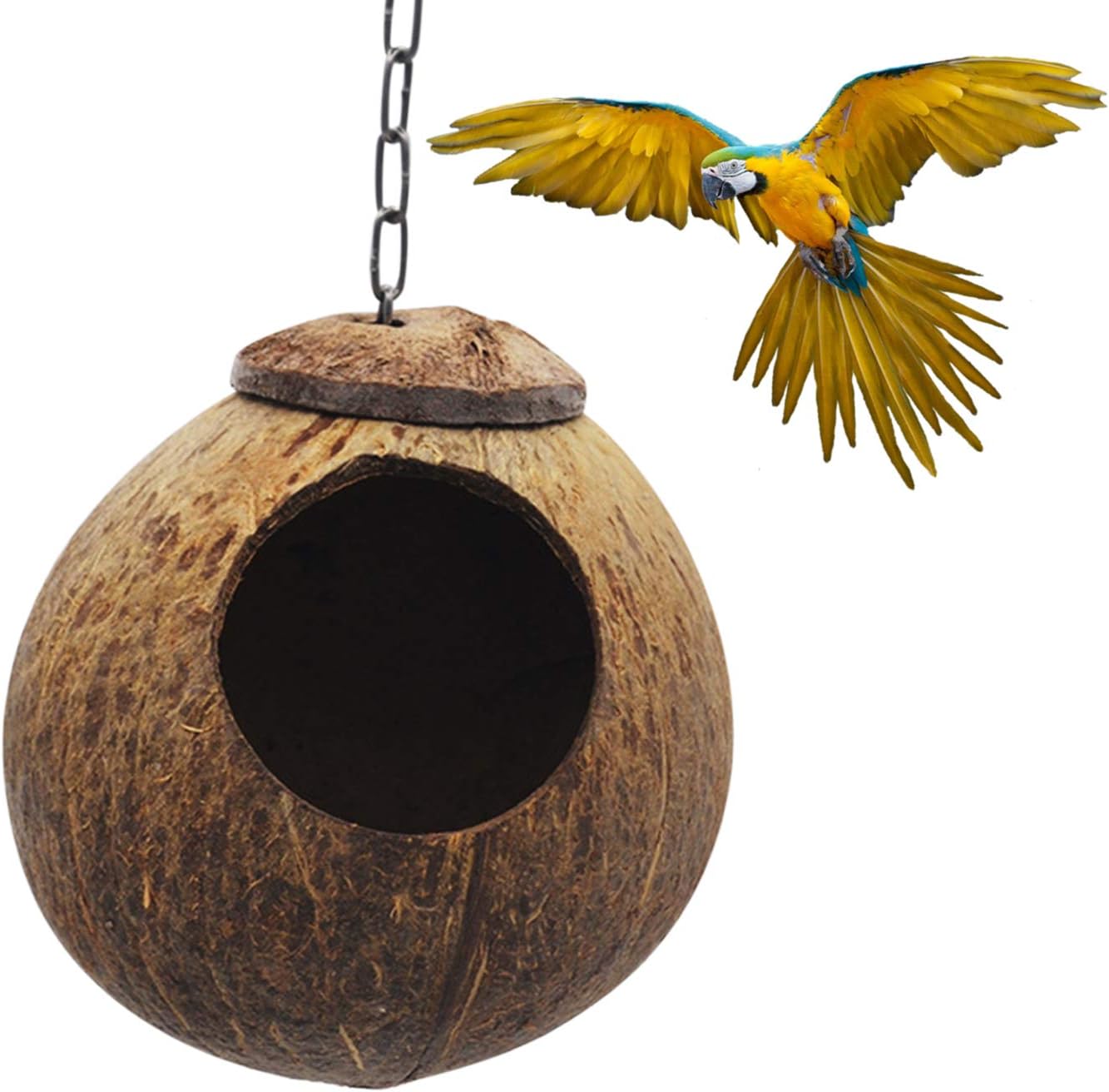 Casa de pássaro de concha de coco para pássaros pequenos e