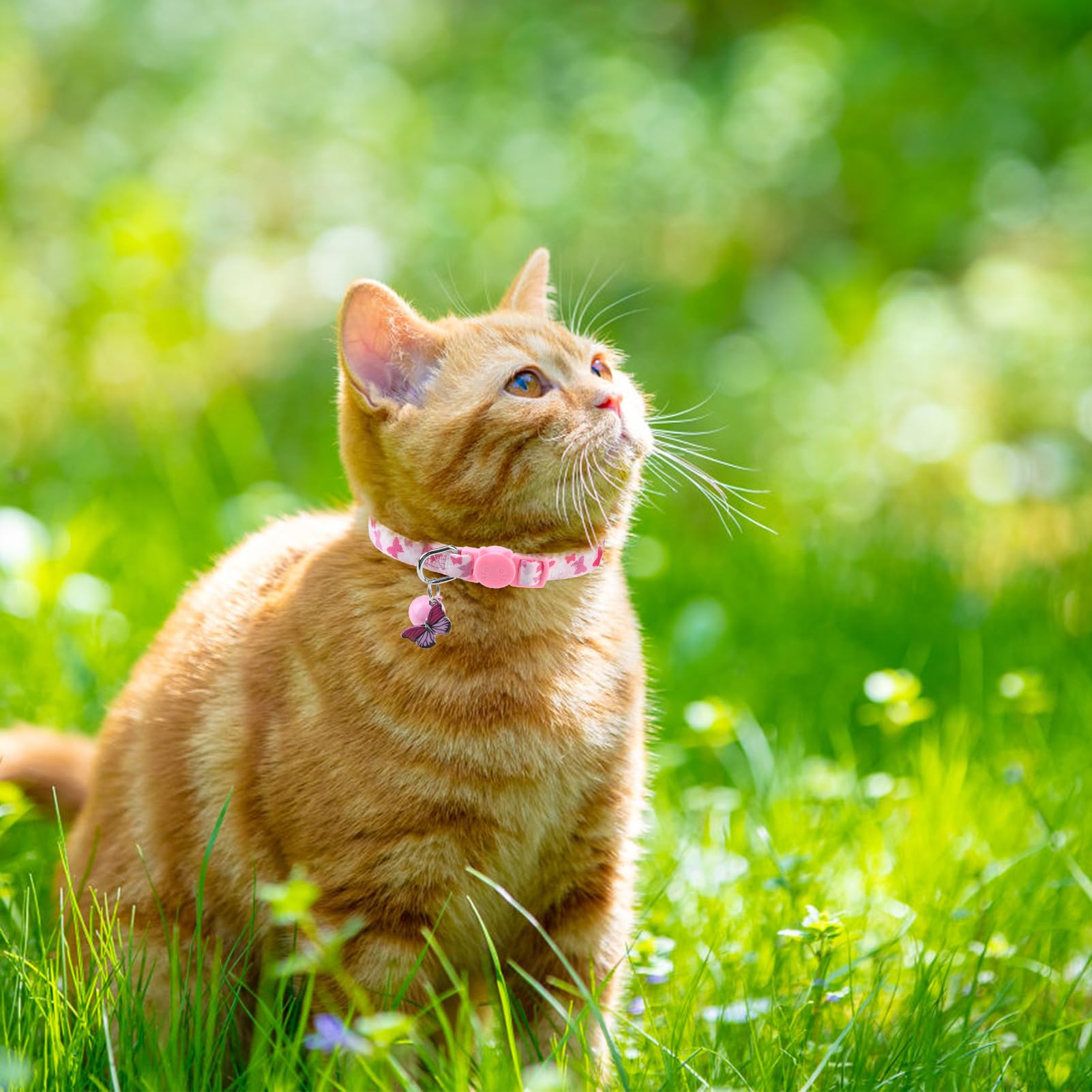 SCENEREAL Collier pour chat avec clochettes, boucle de sécurité douce et réglable pour le printemps, l'été, le quotidien, collier personnalisé pour chaton chiot rose