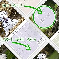 Vista 267 de Razas de Perros 2017