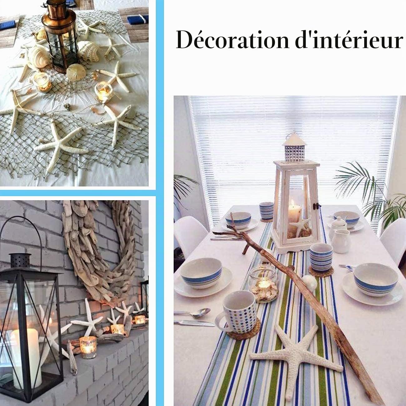 Jangostor Lot de 12 étoiles de mer - Mélange - Coquillages naturels - Parfait pour la décoration de mariage, plage, fêtes à thème, maison