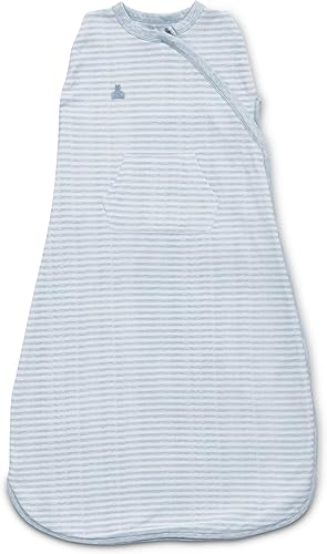 Delta Children Gap babyGap TrueSleep - Saco de dormir con manta integrada, Raya azul