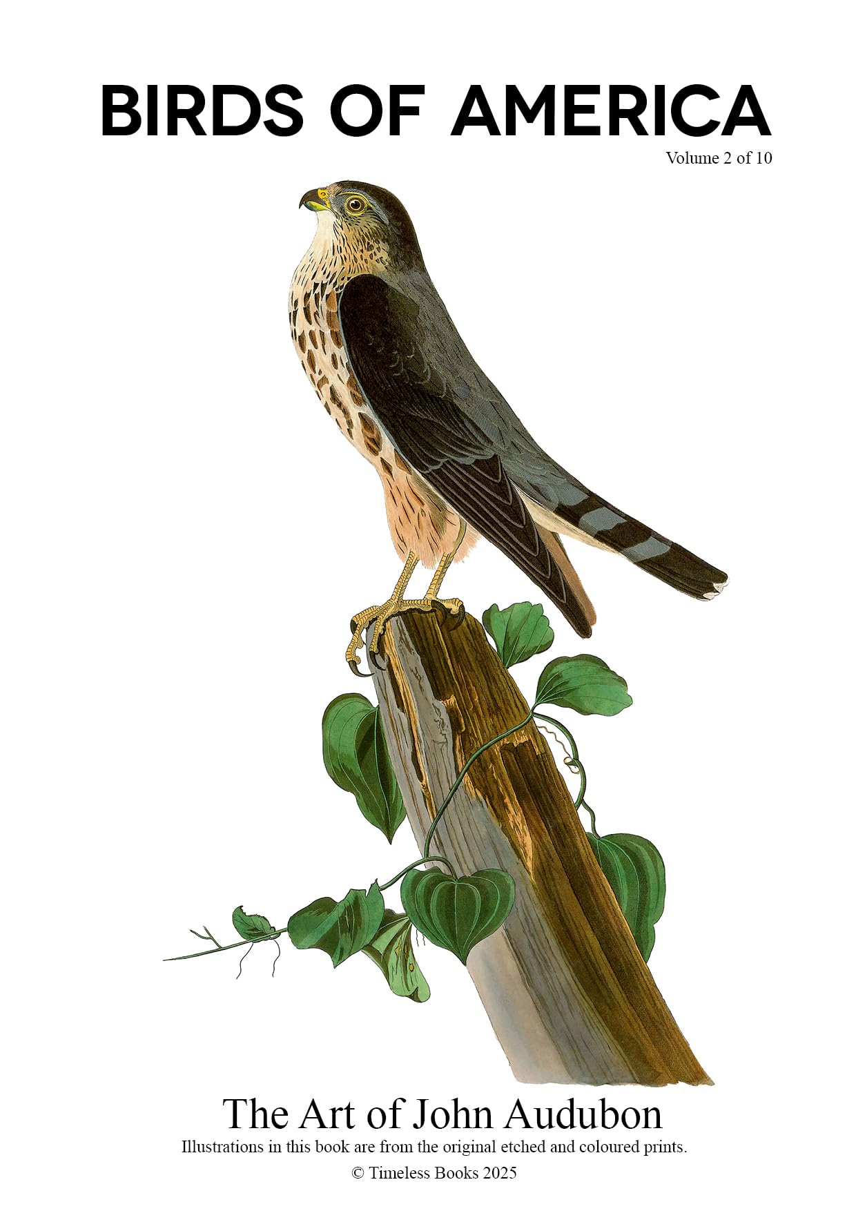 Ouvrage Birds of America John James Audubon Volume 2 naturaliste en anglais