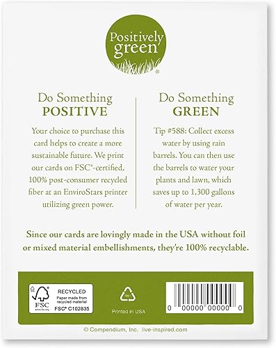 Miniatura 8 de Compendium Positively Green - Paquete de 4 tarjetas de amistad, pares perfectos (cuatro diseños diferentes, una tarjeta cada uno, con sobres)
