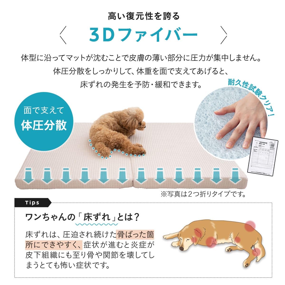 エムール ペットマット ベッド 介護 犬 XLサイズ ベージュ 3Dファイバー Amazon | エムール 3D Fiber ペットマット 犬 ベッド 介護 洗える