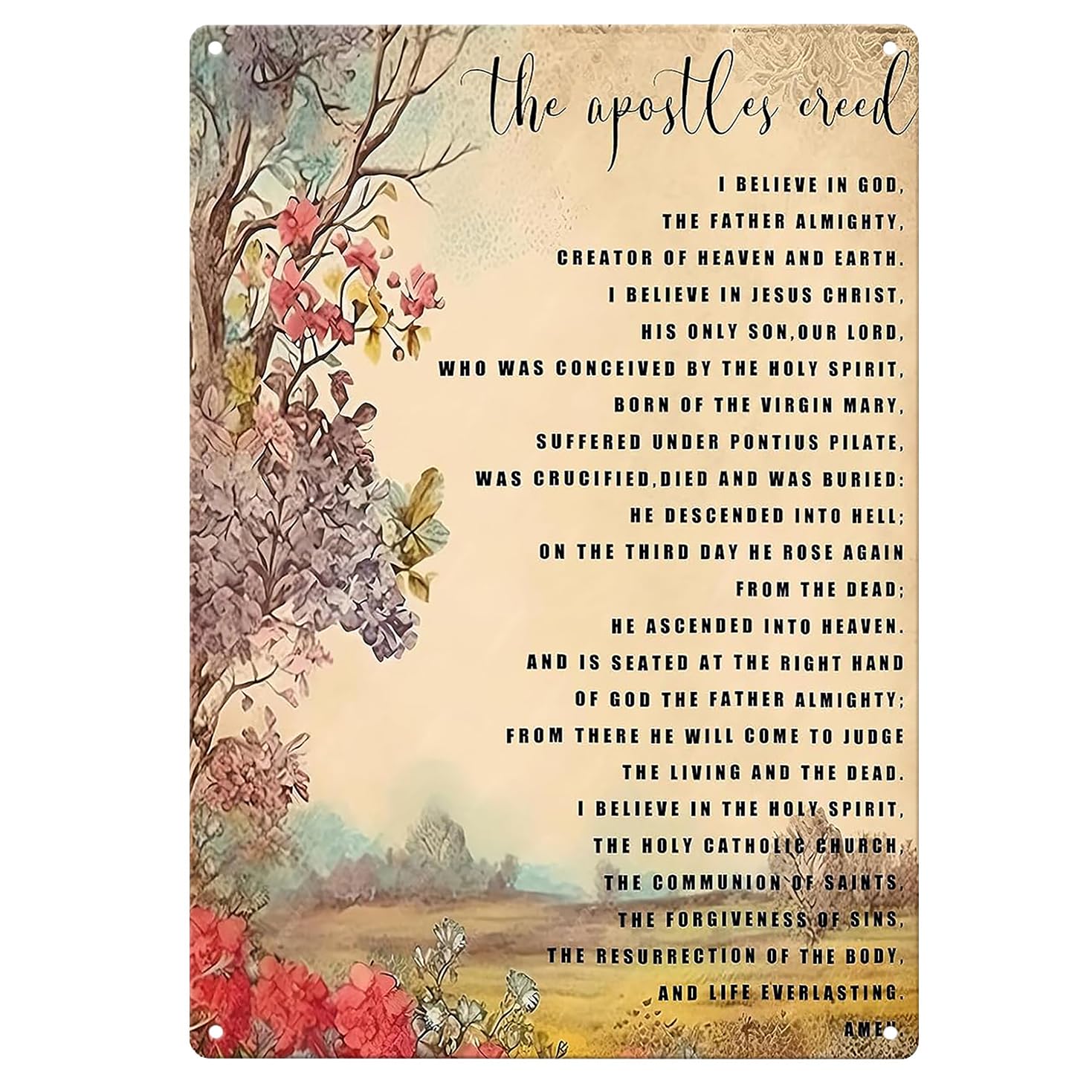 Christian Wall Art The Apostles Creed Prayer Poster Inspirational Wall Decor Modern Metal Sign For Living Room Or Church Metal Sign Plaque Poster 8X12 Inches