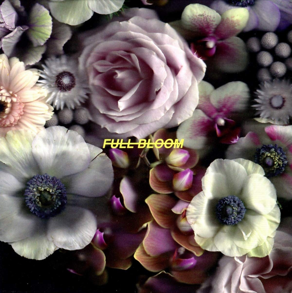 Full Bloom