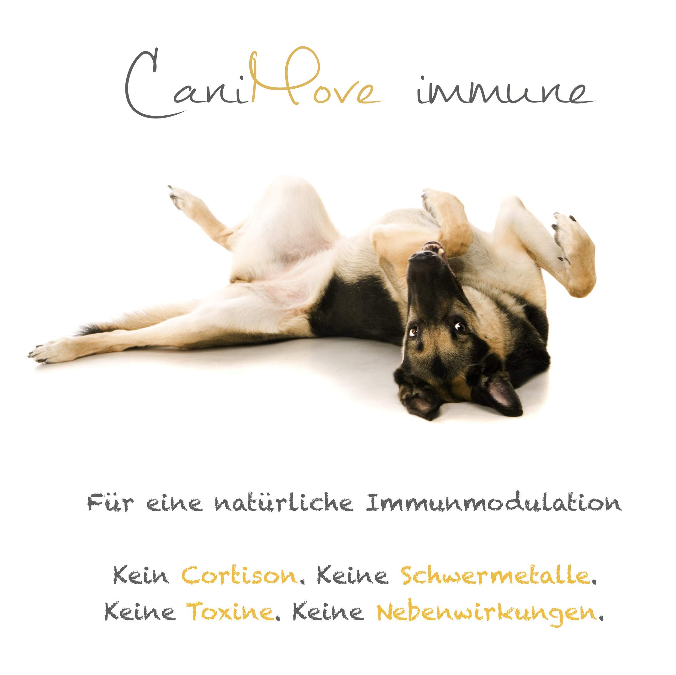 Motion & CaniMove Immune (ehemals EPA70) Maxi, je 1 Packung hochentwickelte Ergänzungsfuttermittel für große Hunde zur Unterstützung bei degenerativen Problemen des Bewegungsapparates.