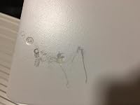 Review Image by Amazon Customer