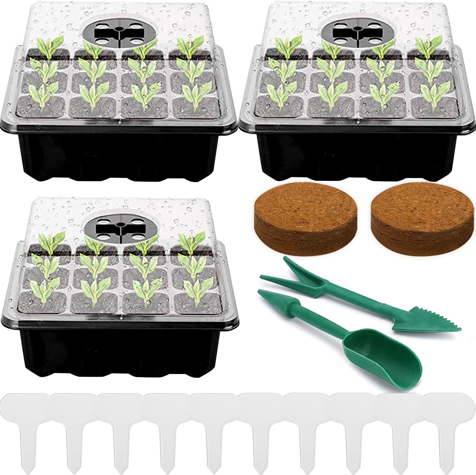 Pack of 3 Indoor Greenhouse Propagation Box, 36 Cell Mini Greenhouse Propagation Set, Seedling Starter Trays, Plastic Propagation Trays with Lid Ventilation for Seedling Plant