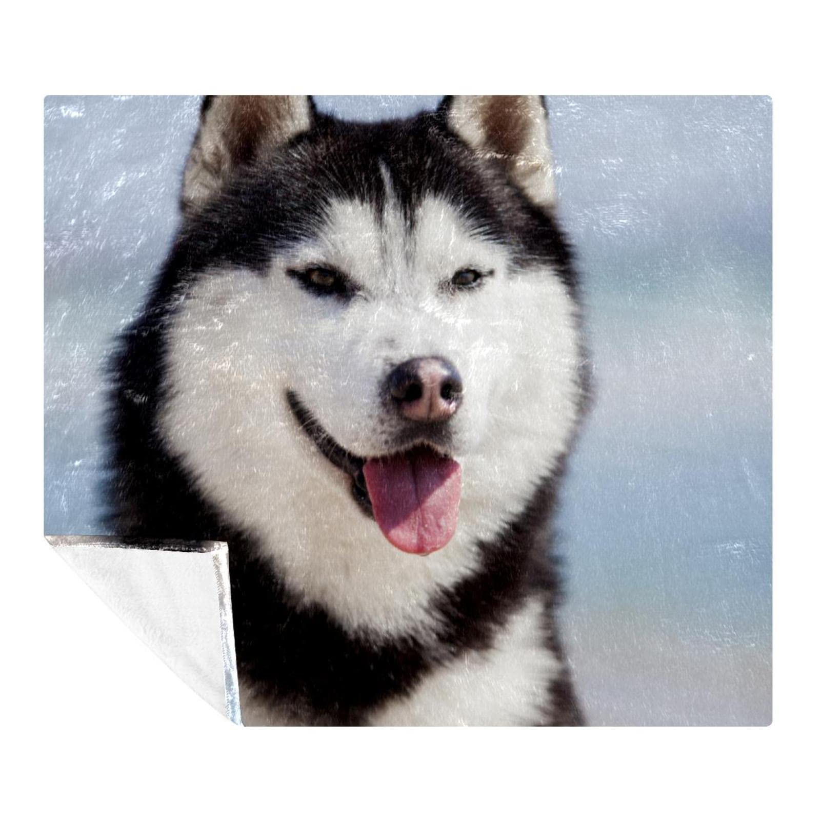 Couverture polaire husky pour protéger le canapé des poils