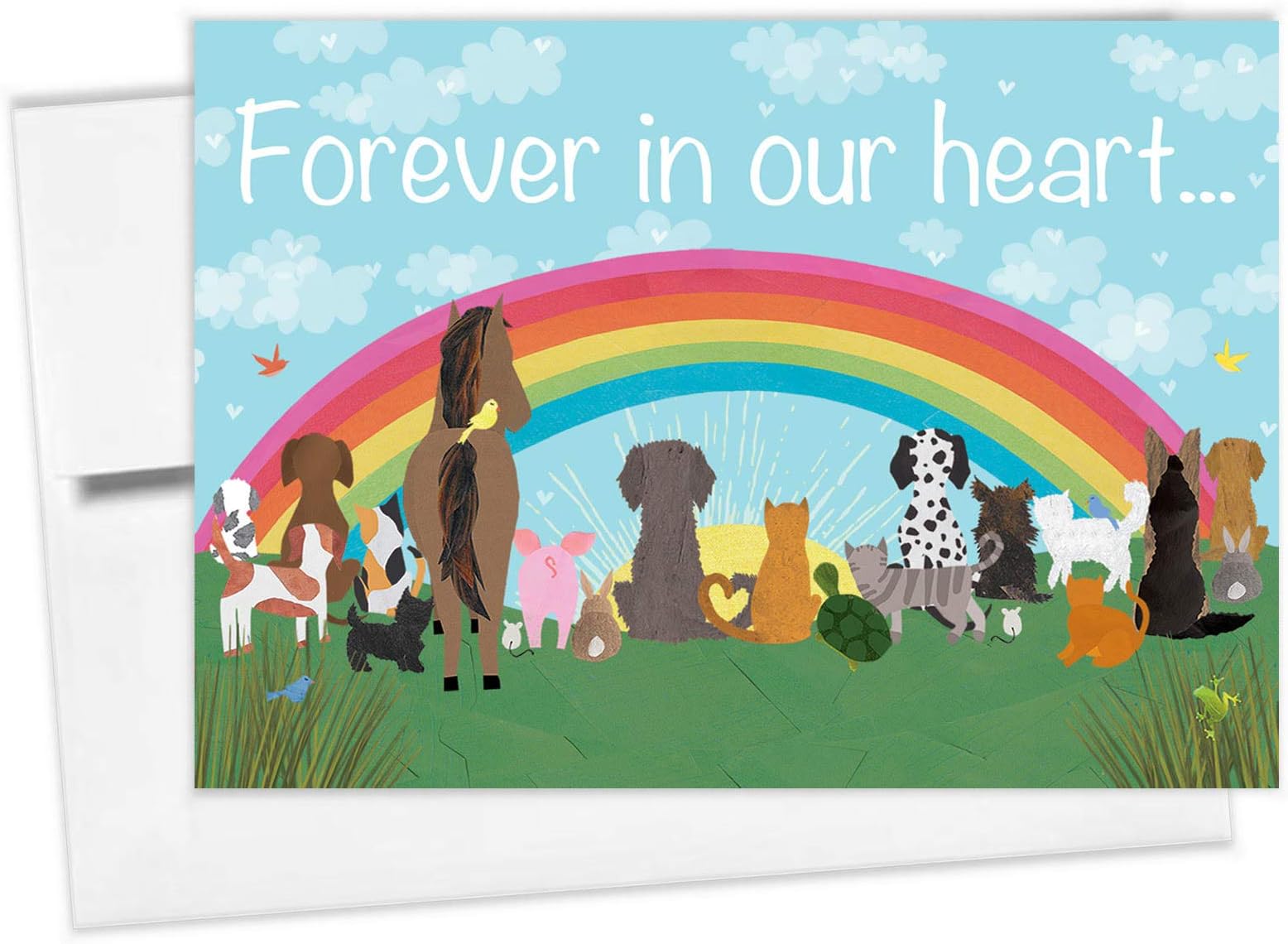 Tiny Expressions Rainbow Bridge Pet Sympathy Memorial Card with Envelope 5"x7" (Rainbow Bridge Card)