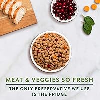 Vista 4 de Freshpet Alimento saludable y natural para perros pequeñosrazas, receta de pollo fresco sin granos, 1 libra