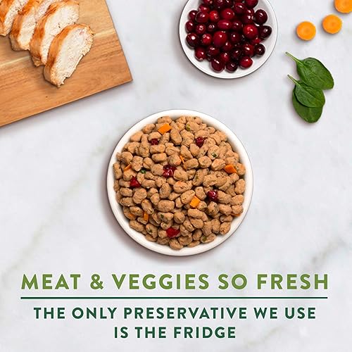 Miniatura 4 de Freshpet Alimento saludable y natural para perros pequeñosrazas, receta de pollo fresco sin granos, 1 libra