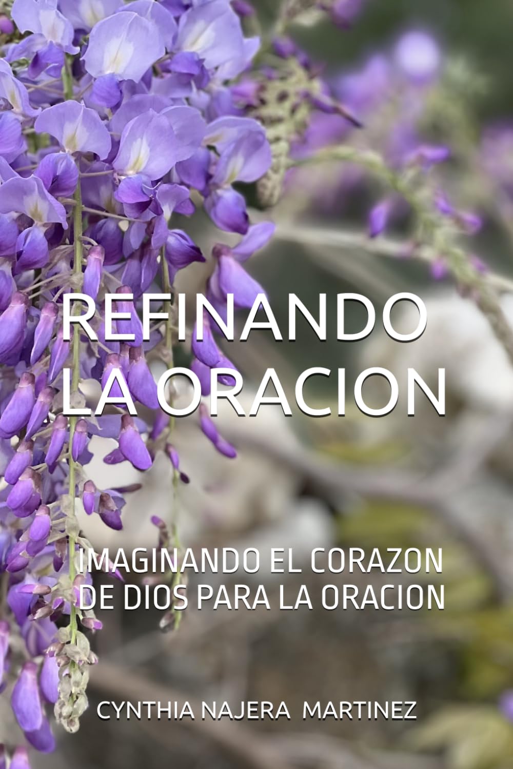 ORACION REFINADORA: IMAGINANDO EL CORAZON DE DIOS PARA LA ORACION