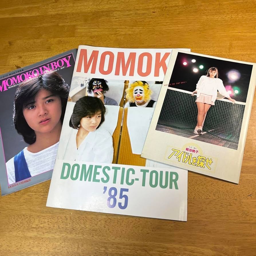 激レア　山下達郎ツアーパンフ2冊 激レア山下達郎ツアーパンフ2冊