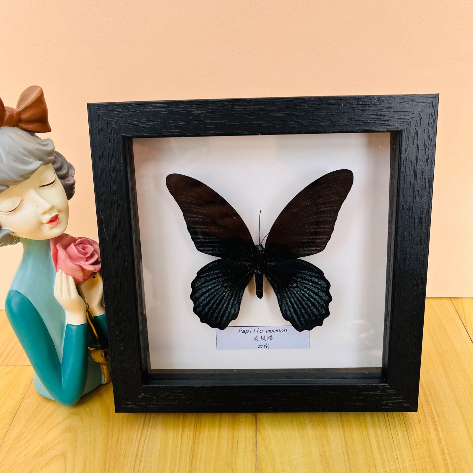 Taxidermy Mounted In Frame,Exquisite Butterflies Insect Specimen,Collection Of Butterfly,Unique Home Decor Wall Decoration Gift For Christmas Valentine Birthday,Real Butterfly Specimens17.6*17.6cm