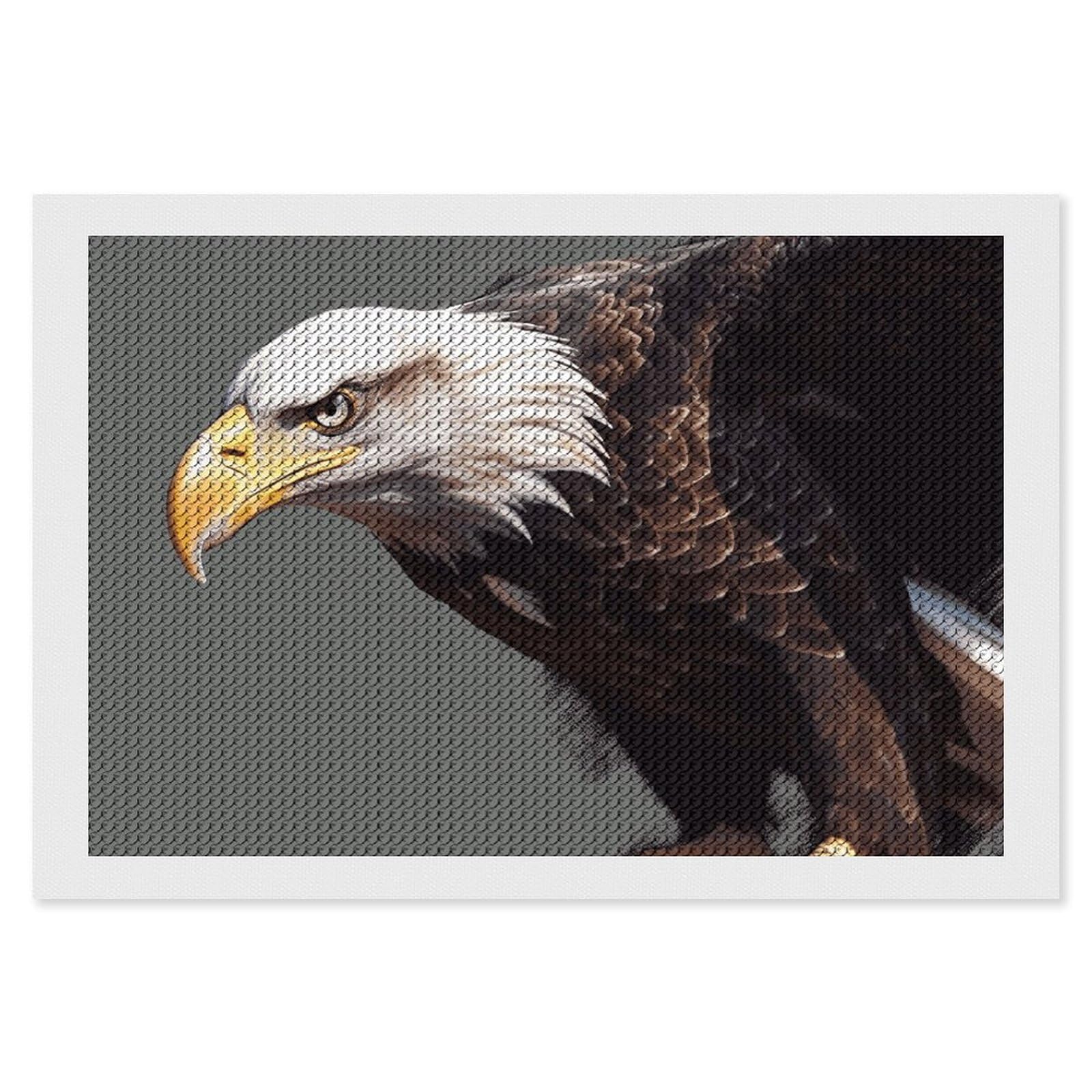NONHAI Diamond Painting Kits for Adults - DIY Diamond Art Kits for Beginners - Full 5D Paint Drill Diamond Dots Paintings- Eagle Diamonds Pictures Gem Art and Craft Wall Decor 8"x12"