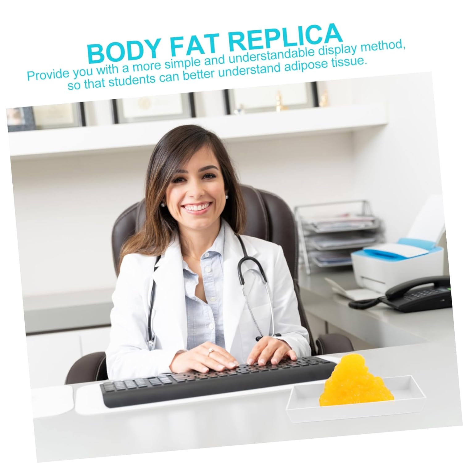 1pound Human Fat Model with Base for Educational Use Nutritionists and Fitness Training Understanding Body Composition and Physiology