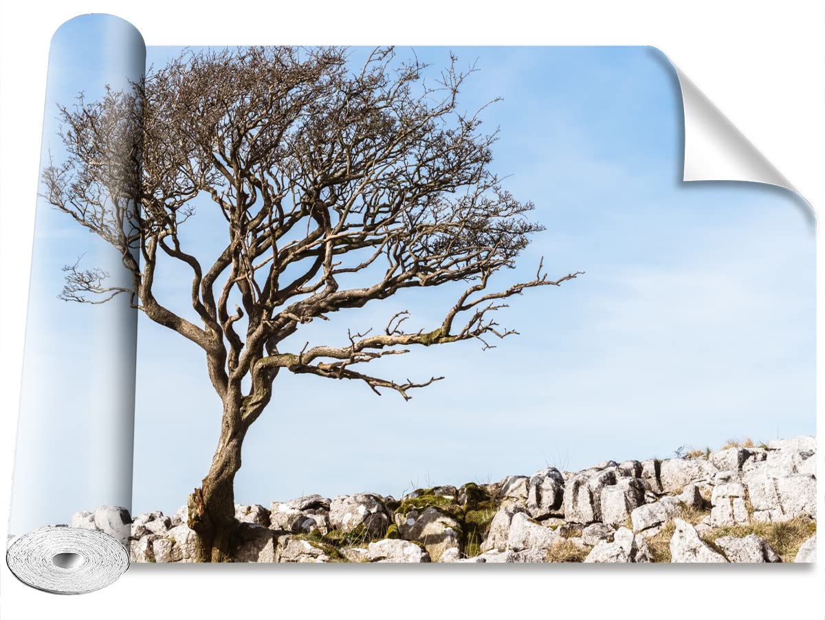 Papier Peint Stickers Muraux Camouflage Tulup pour Rénover une Pièce
