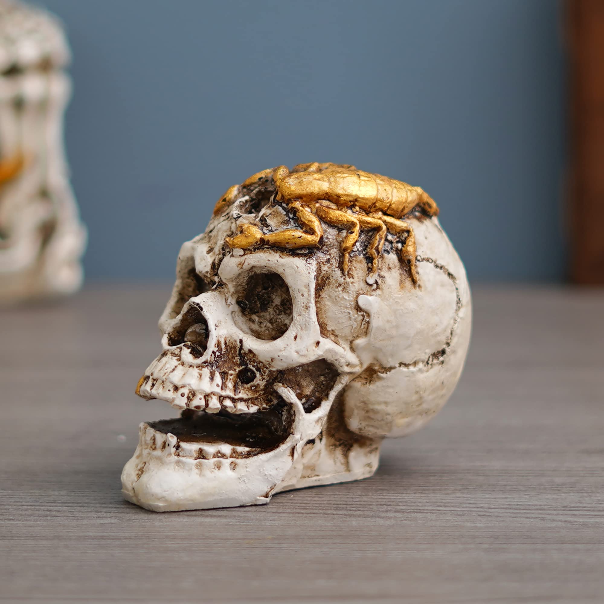 Buy Shyam Antique Creation Resin Scorpion Sitting on Skull Statue