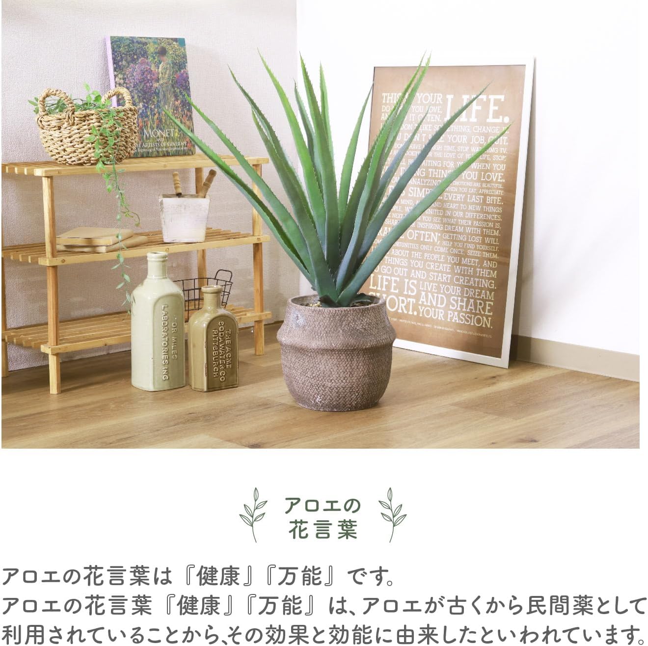 不二貿易(Fujiboeki) Fuji Boeki 41136 Faux Green, Interior Green, Artificial House Plant, Width 27.6 x Depth 29.5 x Height 29.5 inches (70 x 75 x 75 cm), Aloe Vere, Medium Size, Tabletop Cement Pot