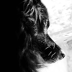 Immagine del cliente