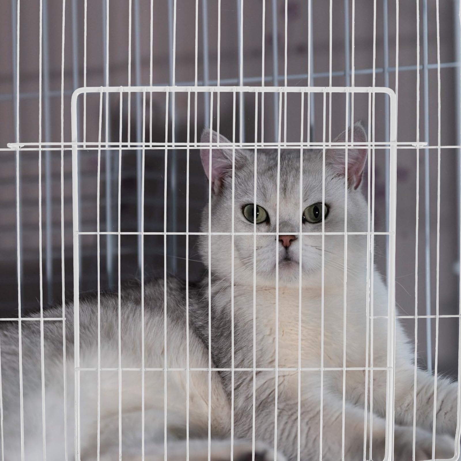 Angoily Haustierkäfig Metallgitter Ersatz Tür 35X35cm mit Innenfaltfunktion für Katzen und Kaninchen Sicheres Gehege Zuhause und Unterwegs