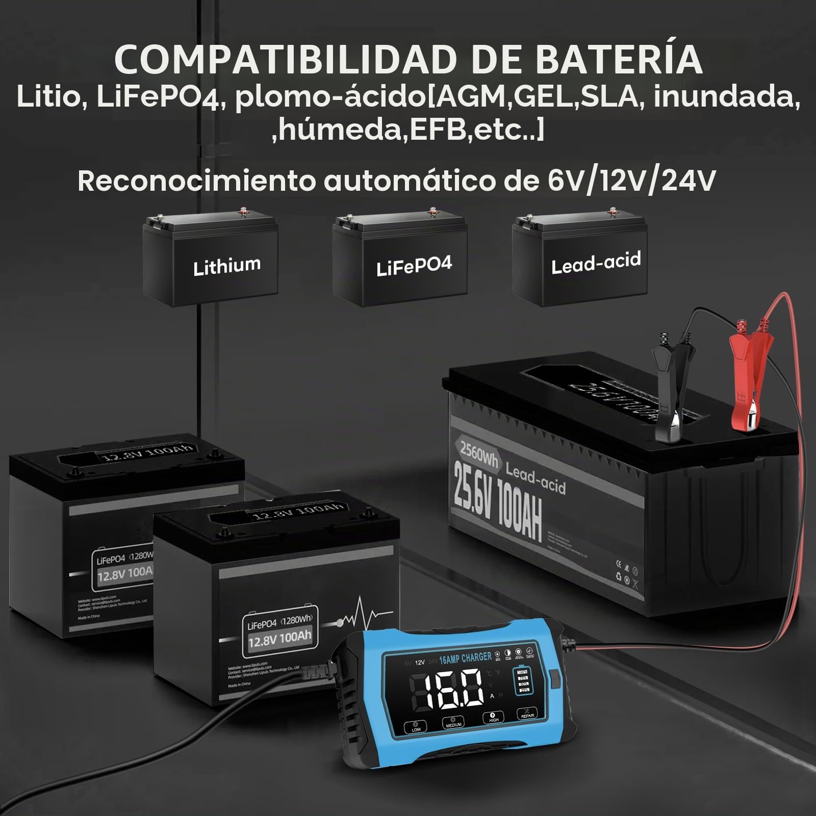 Haisito Cargador de batería de coche de 16 A, 6 V/12 V/24 V, cargador inteligente de mantenimiento y desulfatador para coche, barco, caravana, compatible con litio/LiFePO4/AGM/Gel/y Deep/Cycle/plomo