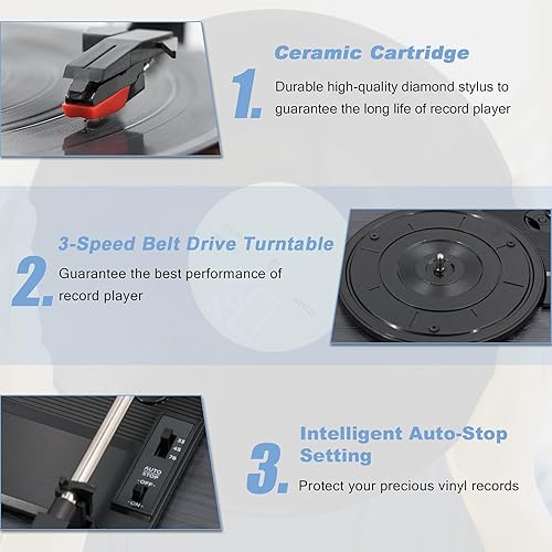 Miniatura 6 de TT202D-1 US - Tocadiscos