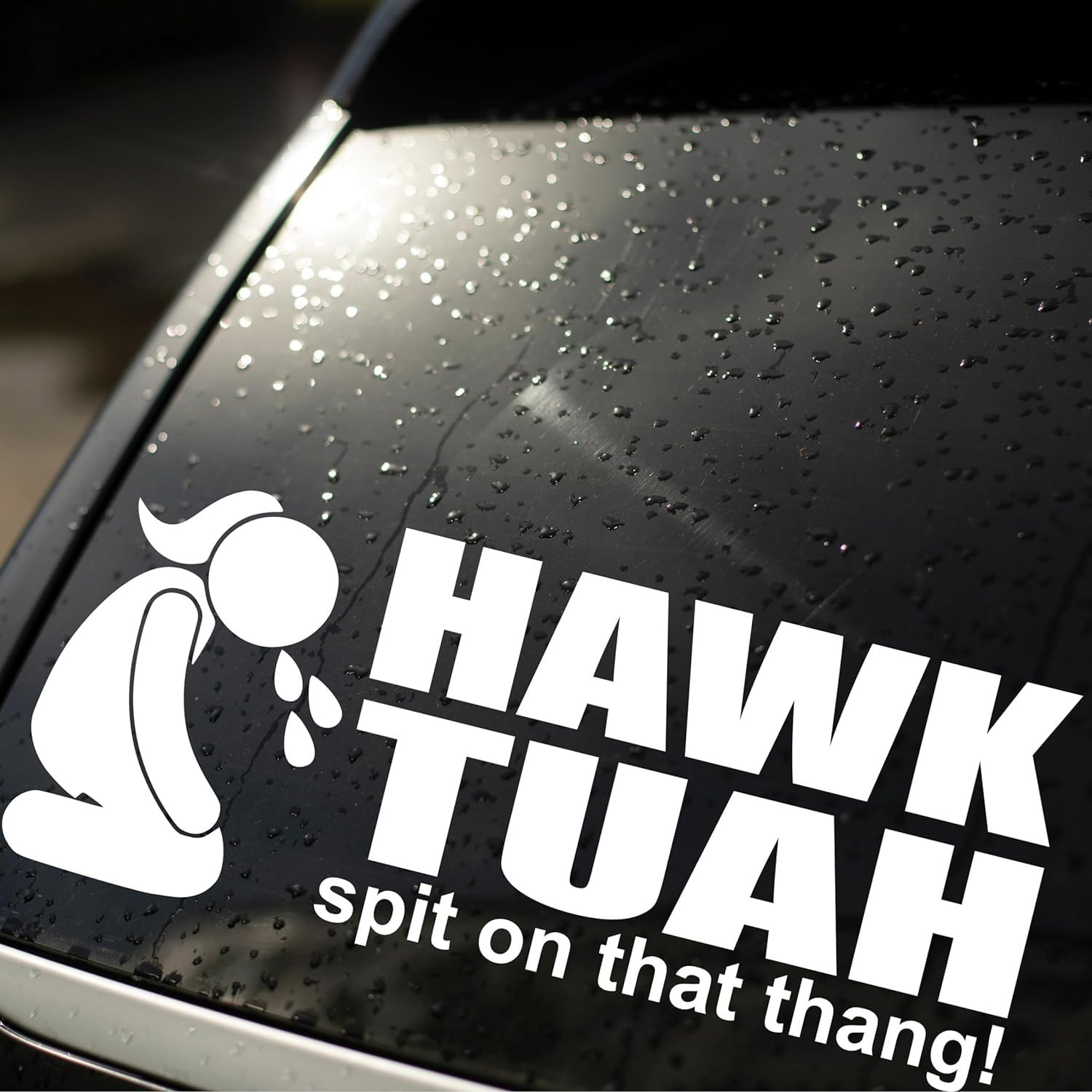 NAUXIU Hawk Tuah Spit On That Thang Car Sticker,Hawk Tuah Car Sticker,Hawk Tush Decals, Funny Hawk Tuah Bumper Decals,Laptop Bumper Decal Window Waterproof Car Stickers