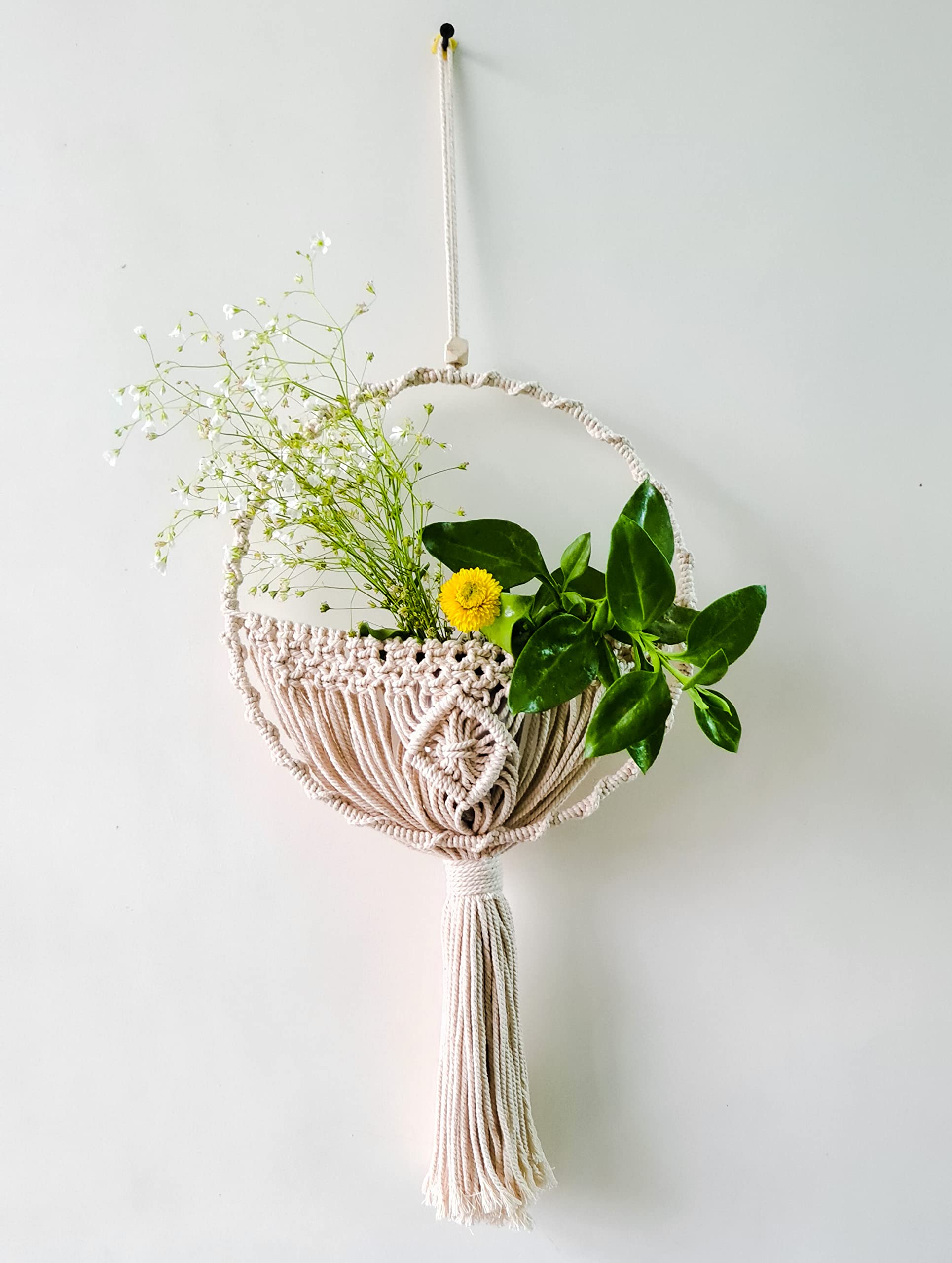 Zippy Flora Daisy Handmade Macrame Ring for Decor (8 inch Diamterer, Off-White) (B09NBJXLBT) Amazon Price History, Amazon Price Tracker
